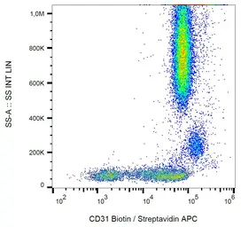 Anti-CD31 antibody [MEM-05] (Biotin) used in Flow cytometry (FCM). GTX78327
