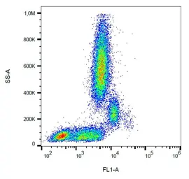 Anti-CD31 antibody [MEM-05] (FITC) used in Flow cytometry (FCM). GTX78328