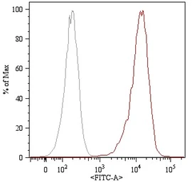 Anti-CD105 antibody [MEM-226] (Dyomics 6477) used in Flow cytometry (FCM). GTX78340