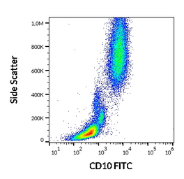 Anti-CD10 antibody [LT10] (FITC) used in Flow cytometry (FCM). GTX78376
