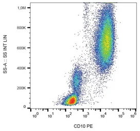Anti-CD10 antibody [LT10] (PE) used in Flow cytometry (FCM). GTX78377