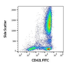 Anti-CD62L antibody [LT-TD180] (FITC) used in Flow cytometry (FCM). GTX78400