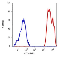 Anti-CD36 antibody [TR9] used in Flow cytometry (FCM). GTX78402