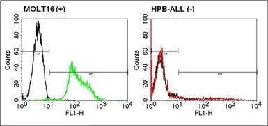 Anti-TCR V alpha 2 antibody [F1] (FITC) used in Flow cytometry (FCM). GTX79225
