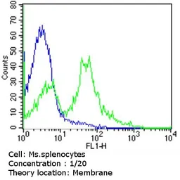 Anti-TCR V beta 5a antibody [1C1] (FITC) used in Flow cytometry (FCM). GTX79229