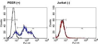 Anti-TCR V alpha 12.1 antibody [6D6.6] used in Flow cytometry (FCM). GTX79230