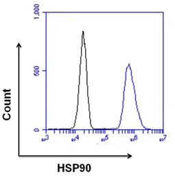 Anti-Hsp90 beta antibody used in Flow cytometry (FCM). GTX79247