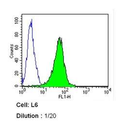 Anti-Caveolin 1 antibody [7C8] used in Flow cytometry (FCM). GTX79350