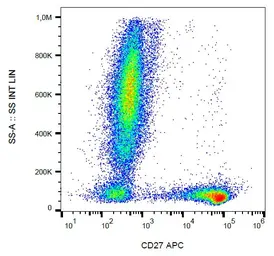 Anti-CD27 antibody [LT27] (APC) used in Flow cytometry (FCM). GTX80055
