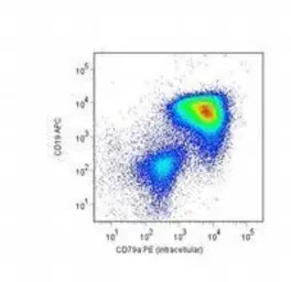 Anti-CD79a antibody [HM57] (PE) used in Flow cytometry (FCM). GTX80094