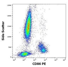 Anti-CD86 antibody [BU63] (PE) used in Flow cytometry (FCM). GTX80211