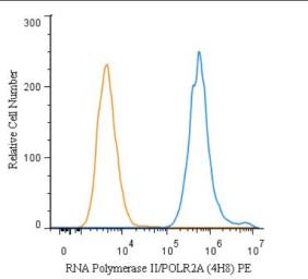 Anti-RPB1 antibody [4H8] used in Flow cytometry (FACS). GTX80341