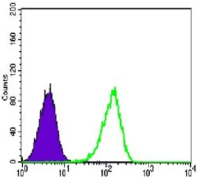 Anti-CARM1 antibody [3H2] used in Flow cytometry (FCM). GTX80395