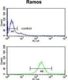 Anti-C7 antibody, Internal used in Flow cytometry (FCM). GTX80456