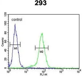 Anti-Claudin 8 antibody, Internal used in Flow cytometry (FCM). GTX80481