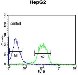 Anti-FBXO3 antibody, C-term used in Flow cytometry (FCM). GTX80503