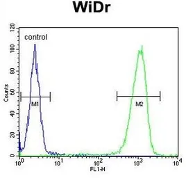 Anti-Peroxin 2 antibody, Internal used in Flow cytometry (FCM). GTX80512