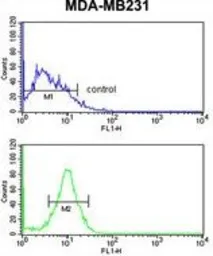 Anti-PEX14 antibody, C-term used in Flow cytometry (FCM). GTX80530