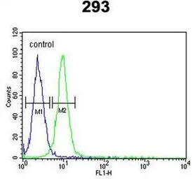 Anti-RPL18A antibody, C-term used in Flow cytometry (FCM). GTX80536