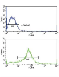Anti-TIMP3 antibody, Internal used in Flow cytometry (FCM). GTX80547