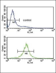 Anti-IL10 antibody, Internal used in Flow cytometry (FCM). GTX80555