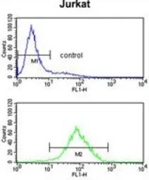Anti-PPM1H antibody, Internal used in Flow cytometry (FCM). GTX80567