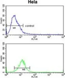 Anti-CDC2L6 antibody, Internal used in Flow cytometry (FCM). GTX80572