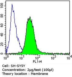 Anti-PSD95 antibody [7E3-1B8] used in Flow cytometry (FCM). GTX80682