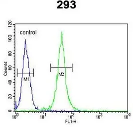 Anti-FOXC1 antibody, C-term used in Flow cytometry (FCM). GTX80948