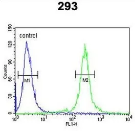 Anti-TCERG1L antibody, Internal used in Flow cytometry (FCM). GTX80965