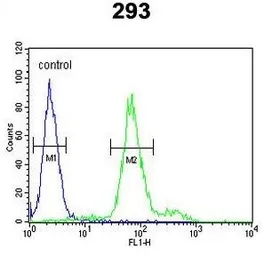 Anti-KLF16 antibody, Internal used in Flow cytometry (FCM). GTX80982
