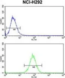 Anti-Dynamin 3 antibody, Internal used in Flow cytometry (FCM). GTX80993