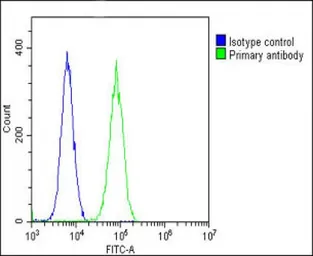 Anti-Glutaminase antibody, C-term used in Flow cytometry (FCM). GTX81012