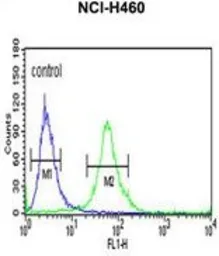 Anti-ITGBL1 antibody, Internal used in Flow cytometry (FCM). GTX81030