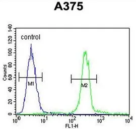 Anti-CTHRC1 antibody, N-term used in Flow cytometry (FCM). GTX81033