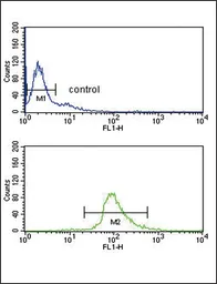 Anti-TRP2 antibody, N-term used in Flow cytometry (FCM). GTX81039
