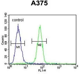 Anti-DERA antibody, N-term used in Flow cytometry (FCM). GTX81043