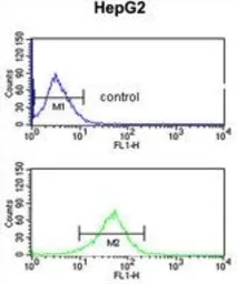 Anti-AGPAT3 antibody, Internal used in Flow cytometry (FCM). GTX81092