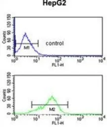 Anti-BANK1 antibody, Internal used in Flow cytometry (FCM). GTX81106