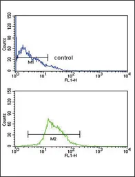 Anti-KMO antibody, Internal used in Flow cytometry (FCM). GTX81111