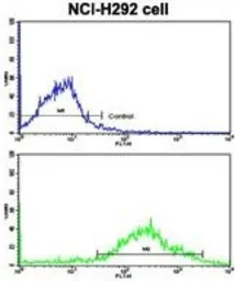 Anti-MLX antibody, Internal used in Flow cytometry (FCM). GTX81125
