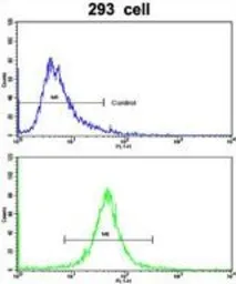 Anti-MRP5 antibody, Internal used in Flow cytometry (FCM). GTX81163