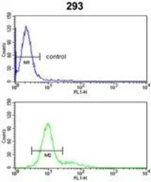 Anti-Rb antibody, C-term used in Flow cytometry (FCM). GTX81164