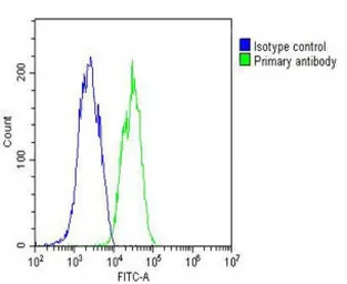 Anti-Interferon beta antibody, N-term used in Flow cytometry (FCM). GTX81187