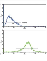 Anti-LRPAP1 antibody, C-term used in Flow cytometry (FCM). GTX81193