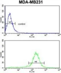 Anti-PEA15 antibody, C-term used in Flow cytometry (FCM). GTX81197