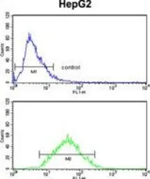 Anti-ZFP36 antibody, Internal used in Flow cytometry (FCM). GTX81199