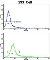 Anti-CKIP1 antibody, N-term used in Flow cytometry (FCM). GTX81213
