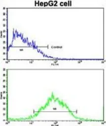 Anti-WBP2 antibody, C-term used in Flow cytometry (FCM). GTX81293