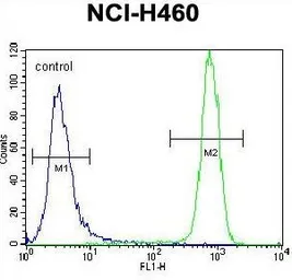 Anti-c-Kit antibody, N-term used in Flow cytometry (FCM). GTX81335